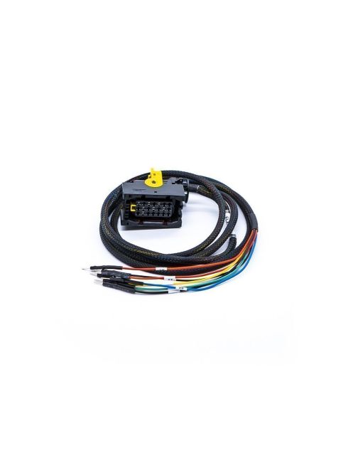 FLX2.64 - MCM2.1 ECU Cable