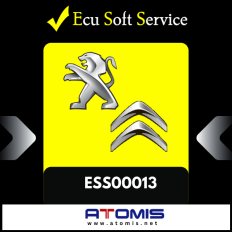 ESS0013 - Ecu Soft Service Moduł Citroen, Peugeot