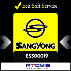 ESS0019 - Ecu Soft Service Module Ssangyong