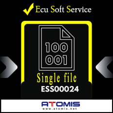 ESS0024 - Ecu Soft Service Pojedynczy plik Mod
