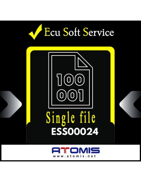 ESS0024 - Ecu Soft Service Pojedynczy plik Mod